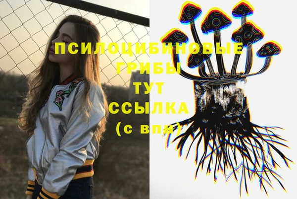 PSILOCYBIN Инсар