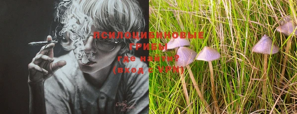 мдпв Иннополис