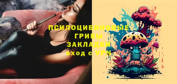 мдпв Иннополис