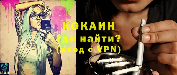 PSILOCYBIN Инсар