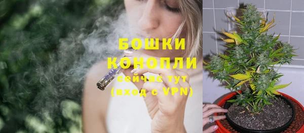 PSILOCYBIN Инсар