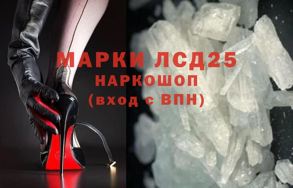 PSILOCYBIN Инсар