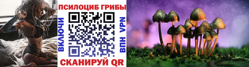 Галлюциногенные грибы MAGIC MUSHROOMS  Купить  Верхняя Тура 